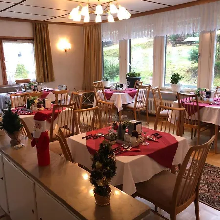 Hotel Hotel-pension Schaetzle